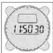 BUSHNELL Digital Compass 700001 - EINSTELLDERZEIT - 2