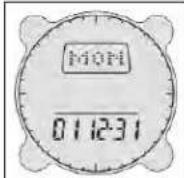 BUSHNELL Digital Compass 700001 - Datumseinstellungen (Date Settings) - 1