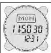 BUSHNELL Digital Compass 700001 - Low Battery Indicator - 1