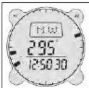 BUSHNELL Digital Compass 700001 - Modalità Conteggio alla Rovescia - 3