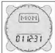 BUSHNELL Digital Compass 700001 - Impostazione della Data - 1