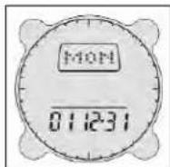 BUSHNELL Digital Compass 700001 - Ajustes da Data - 1