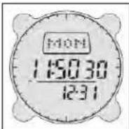 BUSHNELL Digital Compass 700001 - Batteriestandanzeiger (Low Battery Indicator) - 1