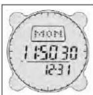 BUSHNELL Digital Compass 700001 - Indicateur de Tension Faible de Pile (Low Battery Indicator) - 1