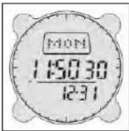 BUSHNELL Digital Compass 700001 - LUZ PARA LEER MAPAS - 1