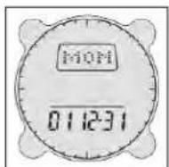 BUSHNELL Digital Compass 700001 - Ajustes de fecha (Date Settings) - 2