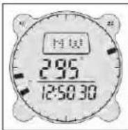 BUSHNELL Digital Compass 700002 - Mode Navigateur Numérique (Compass Mode) - 1