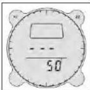 BUSHNELL Digital Compass 700002 - Modus Zieleingabe (Self Homing Mode) - 2
