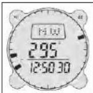 BUSHNELL Digital Compass 700002 - Modalità Bussola - 1