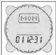 BUSHNELL Digital Compass 700002 - Datumseinstellung (Date Settings) - 1