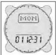 BUSHNELL Digital Compass 700002 - Configuraciones de Fecha (Date Settings) - 1