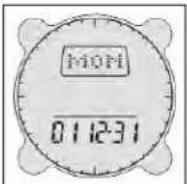 BUSHNELL Digital Compass 700002 - Impostazione della Data - 1