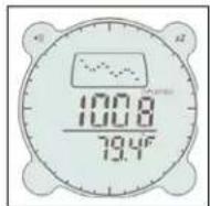 BUSHNELL Digital Compass Pro 700101 - Low Battery Indicator - 1