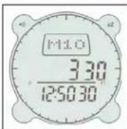 BUSHNELL Digital Compass Pro 700101 - Función de Memoria (Memory Function) - 1