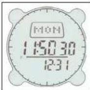 BUSHNELL Digital Compass Pro 700101 - Nachtfunktion (Night Mode) - 1