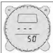 BUSHNELL Digital Compass Pro 700101 - Funktion Self Homing (Self Homing Mode) - 2