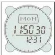 BUSHNELL Digital Compass Pro 700101 - Modalidad Nocturna (Night Mode) - 1