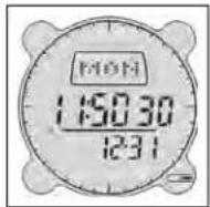 BUSHNELL Digital Compass Pro 700101 - Iconos de pronóstico del tiempo (Weather Forecasting Icons) - 5