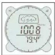 BUSHNELL Digital Compass Pro 700101 - Weather Forecast Mode - 1
