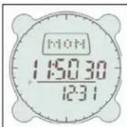 BUSHNELL Digital Compass Pro 700101 - Mode Nuit (Night Mode) - 1