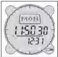 BUSHNELL Digital Compass Pro 700101 - Indicador de Baixa Carga da Pilha - 1