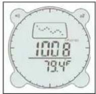 BUSHNELL Digital Compass Pro 700101 - Iconos de pronóstico del tiempo (Weather Forecasting Icons) - 6