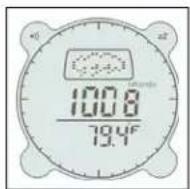 BUSHNELL Digital Compass Pro 700101 - Iconos de pronóstico del tiempo (Weather Forecasting Icons) - 7