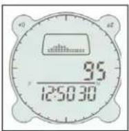 BUSHNELL Digital Compass Pro 700101 - Funzione di Memoria - 1