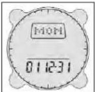 BUSHNELL Digital Compass Pro 700101 - Ajustes da Data - 1