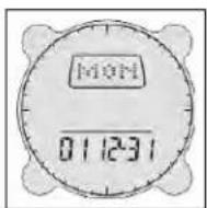 BUSHNELL Digital Compass Pro 700101 - Ajustes de Fecha (Date Settings) - 1