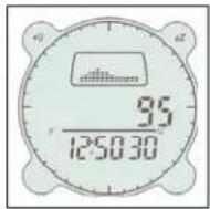 BUSHNELL Digital Compass Pro 700101 - Höhenmesser-Funktion (Altimeter Mode) - 2