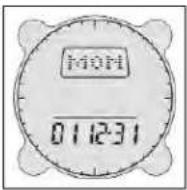 BUSHNELL Digital Compass Pro 700101 - Impostazione della Data - 1