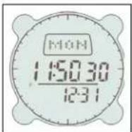 BUSHNELL Digital Compass Pro 700101 - Modo Noturno - 1