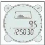 BUSHNELL Digital Compass Pro 700101 - Modalidad de Altimetro (Altimeter Mode) - 2