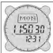 BUSHNELL Digital Compass Pro 700102 - Mode Nuit (Night Mode) - 1