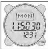 BUSHNELL Digital Compass Pro 700102 - BAROMÈTRE ET TEMPÉRATURE - 1