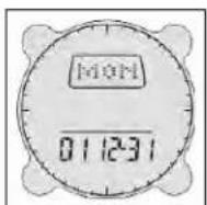 BUSHNELL Digital Compass Pro 700102 - Configuraciones de Fecha (Date Settings) - 1