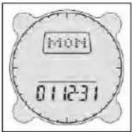 BUSHNELL Digital Compass Pro 700102 - Impostazione Della Data - 1
