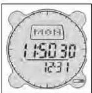 BUSHNELL Digital Compass Pro 700102 - Low Battery Indicator - 1