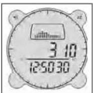 BUSHNELL Digital Compass Pro 700102 - Modus Höhenmessung (Altimeter Mode) - 1