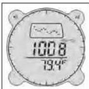 BUSHNELL Digital Compass Pro 700102 - Modalità Barometro - 4