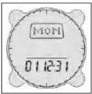 BUSHNELL Digital Compass Pro 700102 - Date Settings - 1
