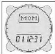 BUSHNELL Digital Compass Pro 700102 - Ajustes da Data - 1