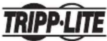 Tripp Lite U4600033AG - Rensignements sur la conformité à la directive DEEE pour les clients de Tripp Lite et les recycleurs (Union europeenne) - 2