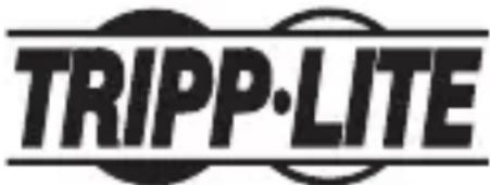 Tripp Lite U4600033AG - Información de Cumplimiento con WEEE para CLIENTES y Recicladores de Tripp Lite (Unión Europea) - 2