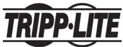 Tripp Lite DMVWSC4570XUL - Secure and Lock the Display - 2
