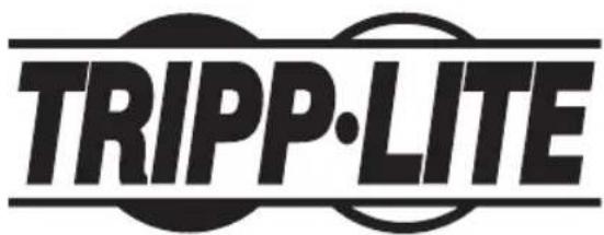 Tripp Lite PDUMV16HV - WEEE Compliance Information for Tripp Lite Customers and Recyclers (European Union) - 4