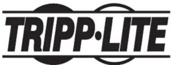 Tripp Lite PDUMV16HV - L'information de conformité WEEE pour les clients de Tripp Lite et recycleurs (Union européenne) - 2