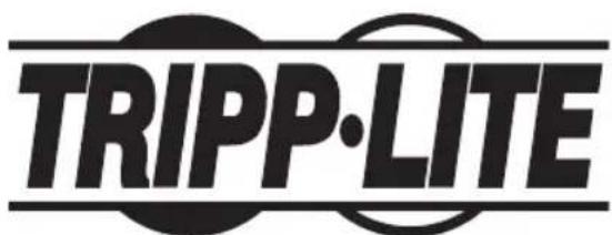 Tripp Lite PDUMV16HV - Информация для клиентов компании Tripp Lite о соблюдении требований директивы ЕС об отходах электрического и электронного оборудования (WEEE) - 2