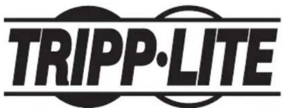 Tripp Lite PDUMV16HV - Información de sobre Cumplimiento de la WEEE para Clientes de Tripp Lite y Recicladores (Unión Europea) - 2